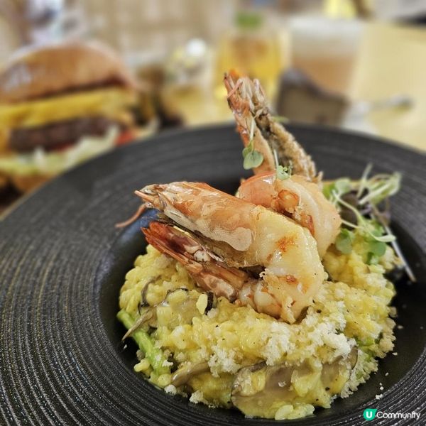 貓咪活潑親人 食物質素高