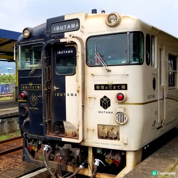 鹿兒島🚃指宿玉手箱號🚃觀光列車 IBUTAMA ⚪️⚫️