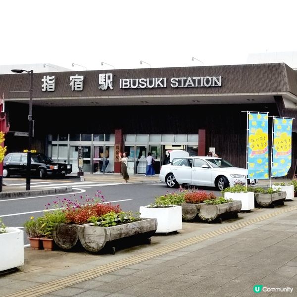 鹿兒島🚃指宿玉手箱號🚃觀光列車 IBUTAMA ⚪️⚫️