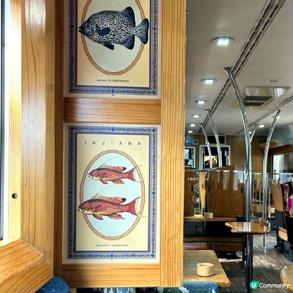 鹿兒島🚃指宿玉手箱號🚃觀光列車 IBUTAMA ⚪️⚫️