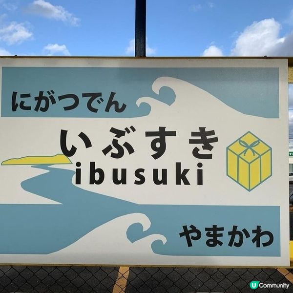 鹿兒島🚃指宿玉手箱號🚃觀光列車 IBUTAMA ⚪️⚫️