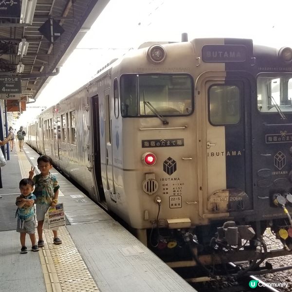 鹿兒島🚃指宿玉手箱號🚃觀光列車 IBUTAMA ⚪️⚫️