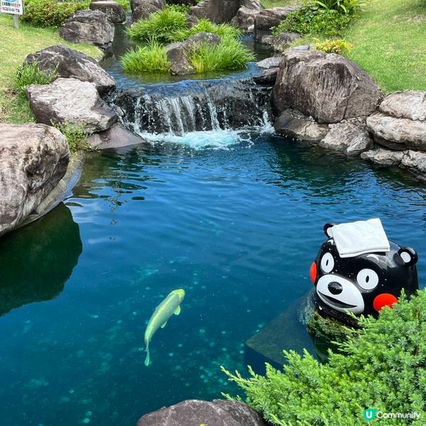 大型戶外熊本熊基地