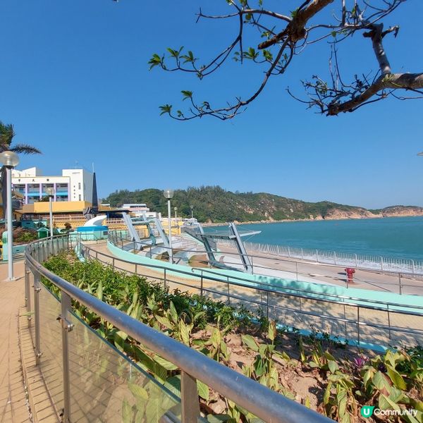 香港離島之旅 🏝️ 長洲一日遊！