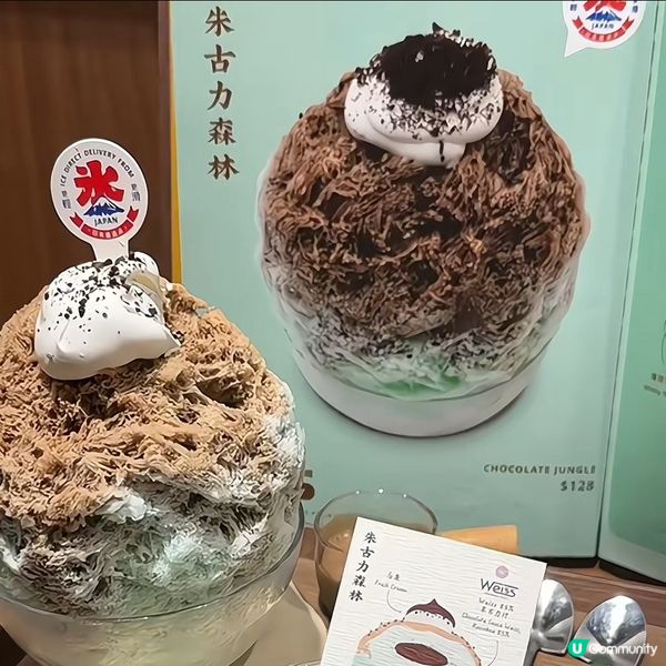 ✨️朱古力森林 • 甜姨姨✨️