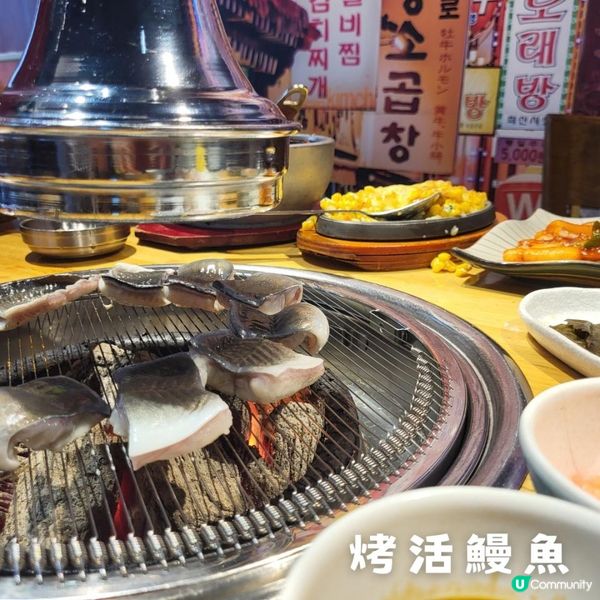 深圳 ︳愛上了烤活鰻