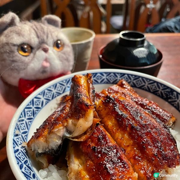 🇯🇵名古屋 鰻魚飯 第2名‼️