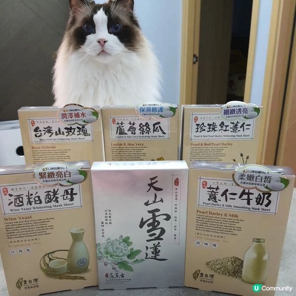 台灣必買面膜 豐台灣