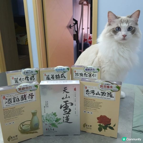 台灣必買面膜 豐台灣