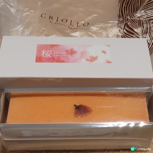 ［期間限定］東京必食-得賞No.1芝士蛋糕［櫻花味］