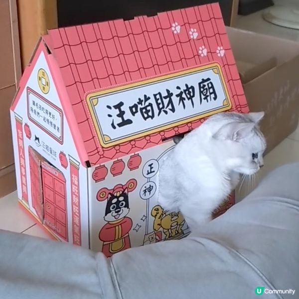 貓星人Silver上班路