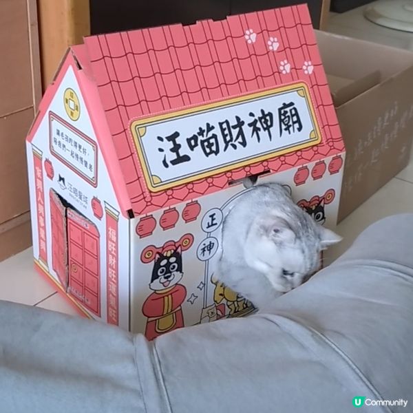 貓星人Silver上班路