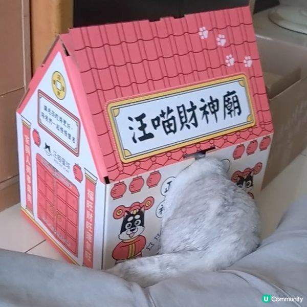 貓星人Silver上班路