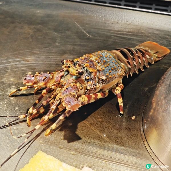 極緻👍享受👨‍🍳高級🔥鐵板燒