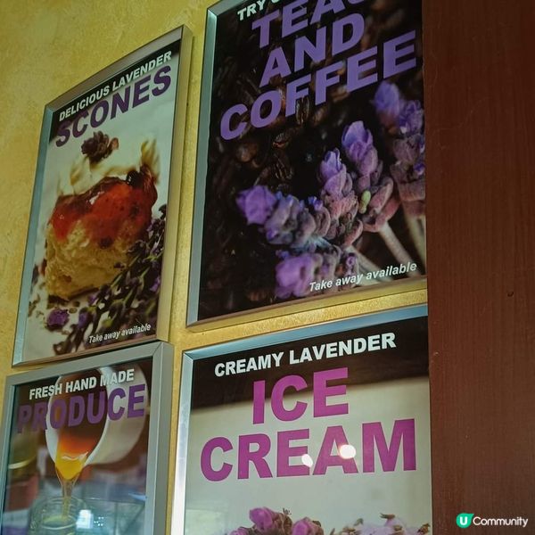 [西澳咖啡店] 海角薰衣草店🪻