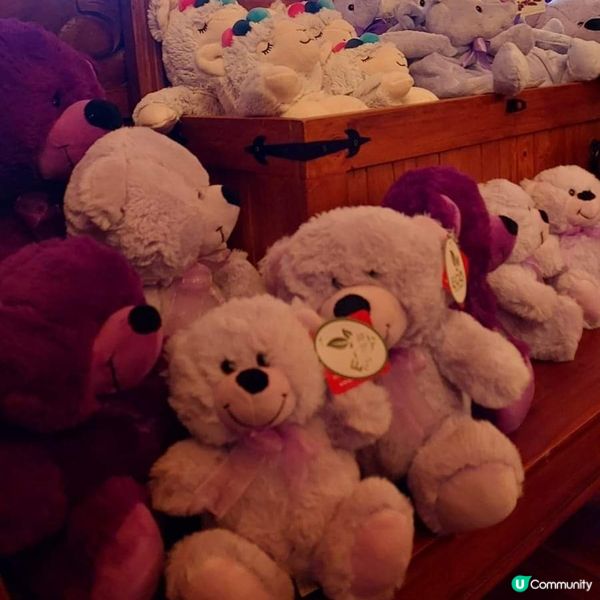 [西澳咖啡店] 海角薰衣草店🪻