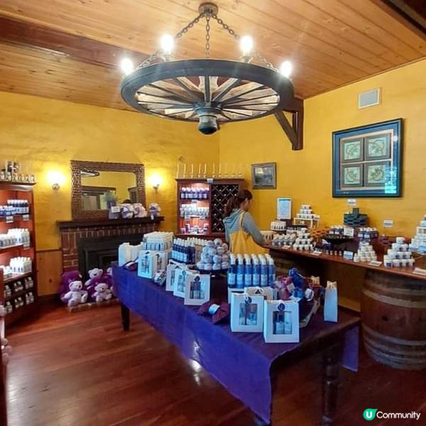 [西澳咖啡店] 海角薰衣草店🪻