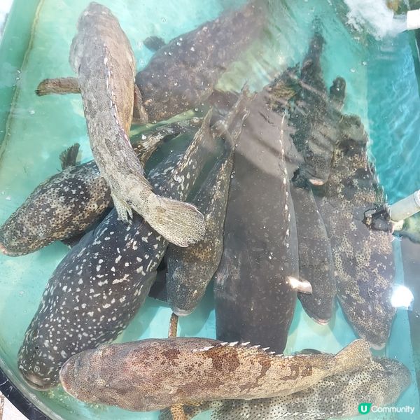 流浮山海鮮街，食完仲可以睇海景 🌊🦐