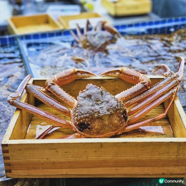 🦀 首家炭烤活海鮮! 激抵松葉蟹