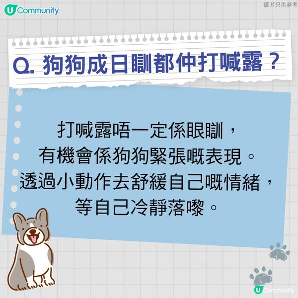 【寵物50問】狗狗篇🐕