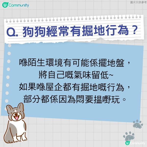 【寵物50問】狗狗篇🐕