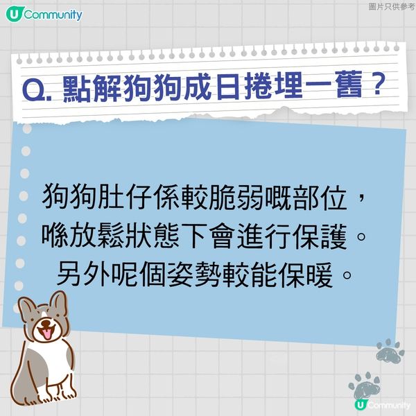 【寵物50問】狗狗篇🐕