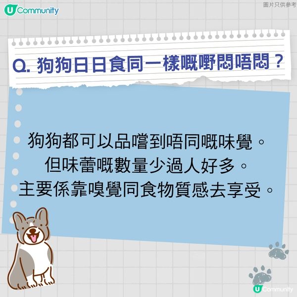 【寵物50問】狗狗篇🐕