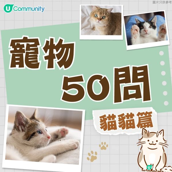 【寵物50問】貓貓篇
