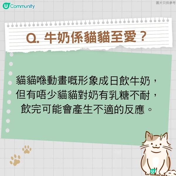 【寵物50問】貓貓篇