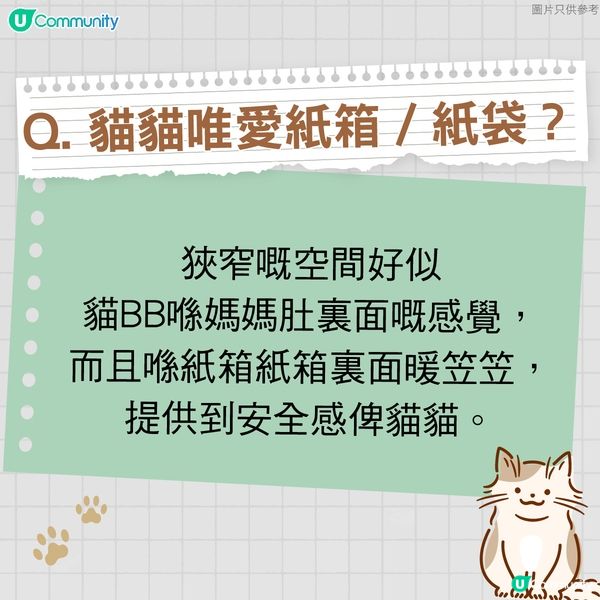 【寵物50問】貓貓篇