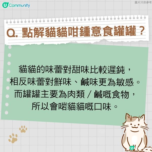 【寵物50問】貓貓篇