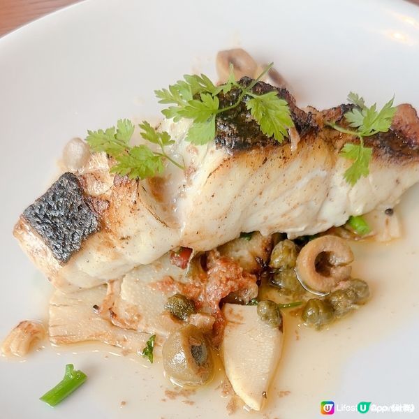  【日本之行🏡】網友力推東京🇯🇵美食之選