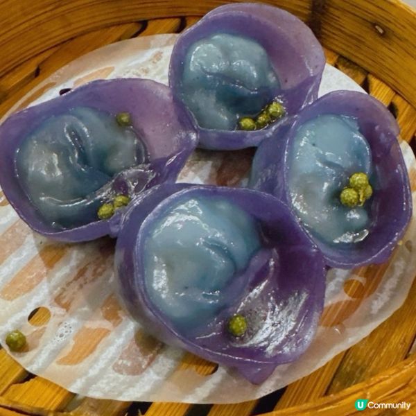藍蝶花椒帶子餃•飽滿新鮮🥰