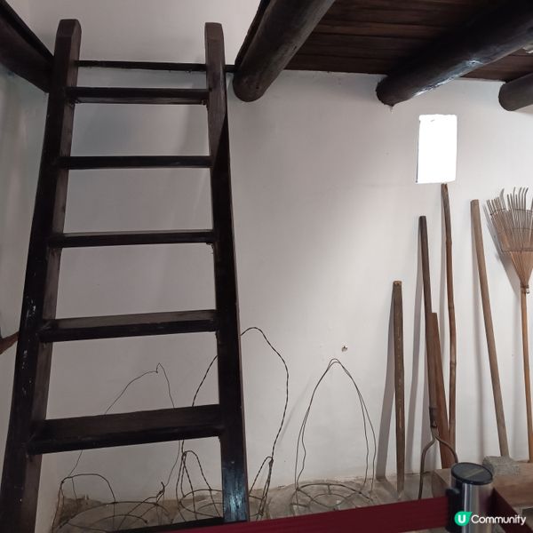 柴灣古蹟探秘 🚶‍♀️ 羅屋見證歷史 🏛️