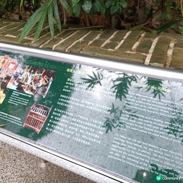 柴灣古蹟探秘 🚶‍♀️ 羅屋見證歷史 🏛️