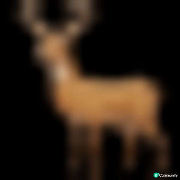 🌟🎀王媽媽法式溫馨酥🦓🦌台北動物園聯名款