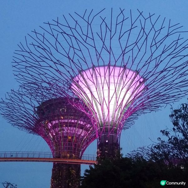 新加坡親子遊 🌴☀️  邊度好玩？
