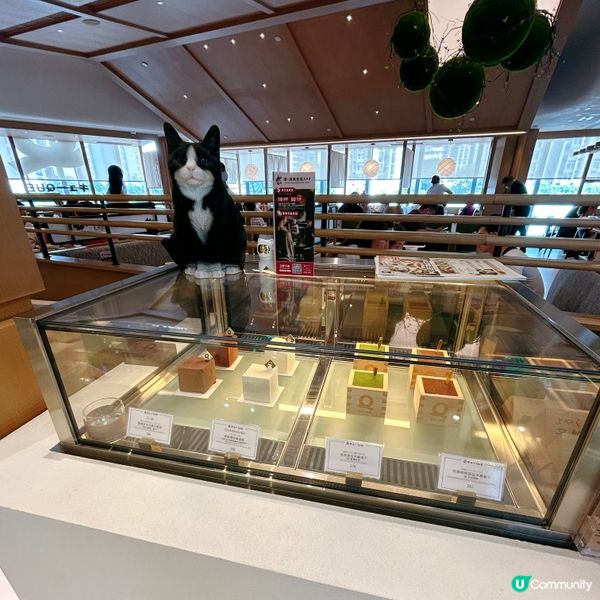 繪畫工作坊好玩又好食🥰