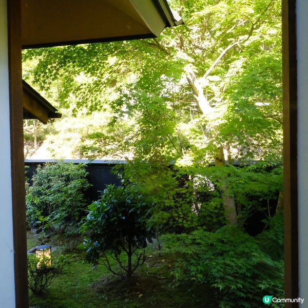 九州自駕遊🚗 黑川溫泉♨️ 山花水木別邸 深山山莊