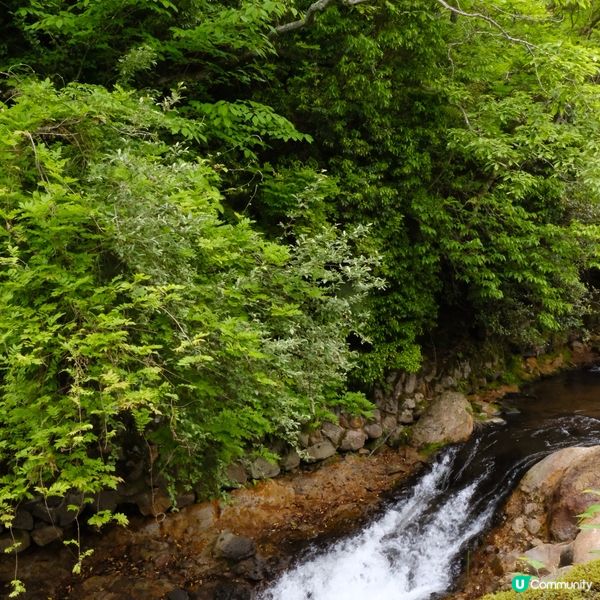 九州自駕遊🚗 黑川溫泉♨️ 山花水木別邸 深山山莊