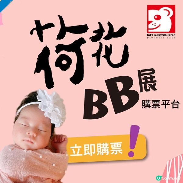 全城矚目荷花BB展