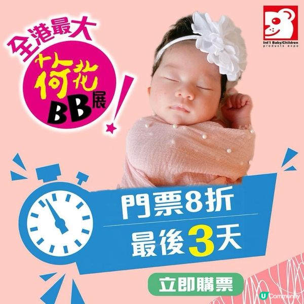 全城矚目荷花BB展