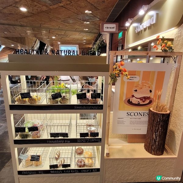 +bread 天然健康麵包店💪