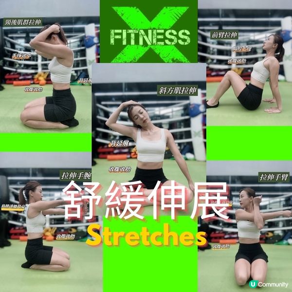 最近愛上每天伸展