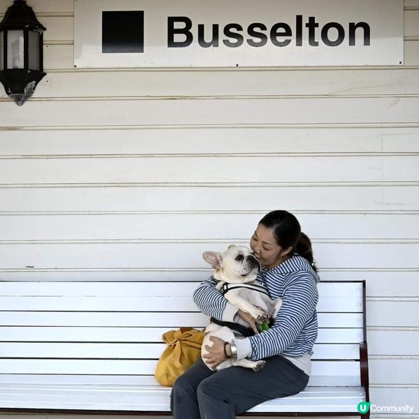 [西澳🛟] 絕不能錯過的木樁碼頭 Busselton 