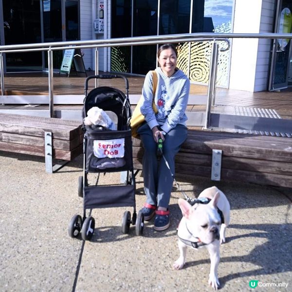 [西澳🛟] 絕不能錯過的木樁碼頭 Busselton 