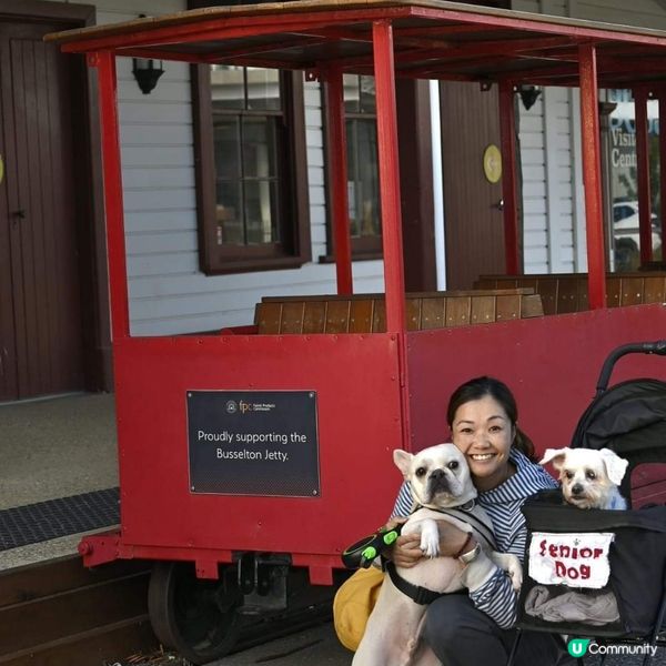 [西澳🛟] 絕不能錯過的木樁碼頭 Busselton 
