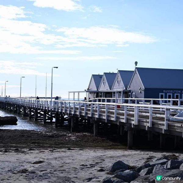 [西澳🛟] 絕不能錯過的木樁碼頭 Busselton 