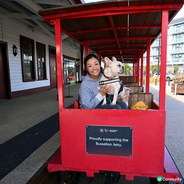 [西澳🛟] 絕不能錯過的木樁碼頭 Busselton 