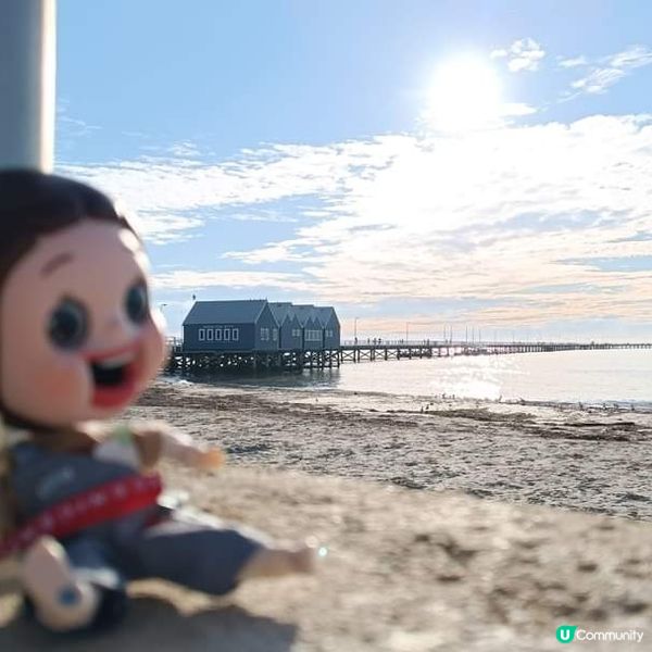 [西澳🛟] 絕不能錯過的木樁碼頭 Busselton 